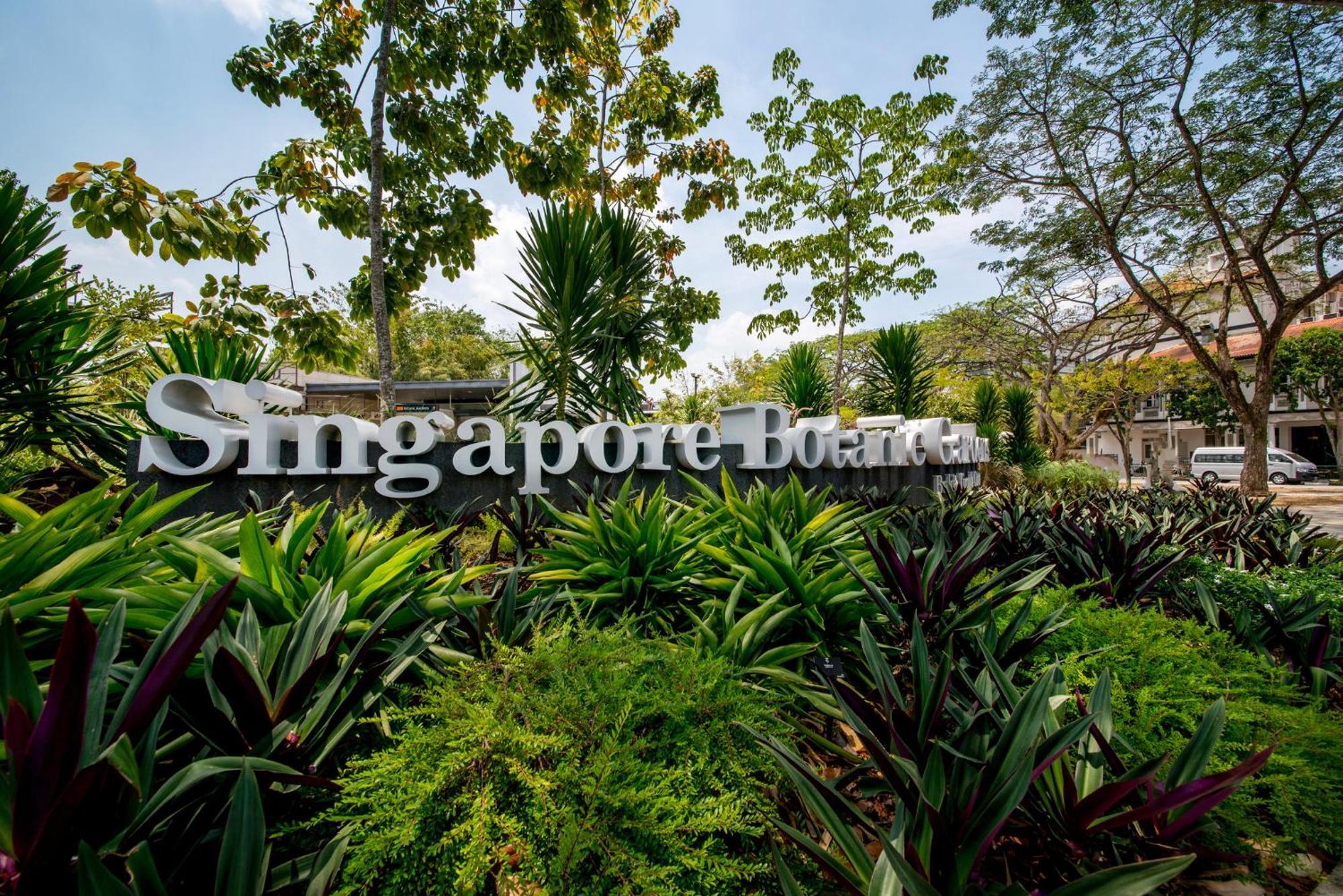 힐튼 싱가포르  호텔 외부 사진 Singapore Botanic Gardens